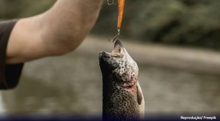 Fim da Piracema: pesca é liberada em alguns estados neste sábado (31)